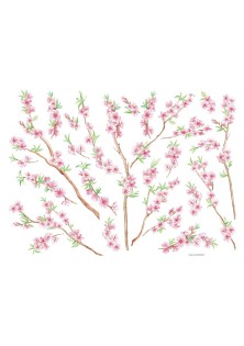 Peach Brance αυτοκόλλητα τοίχου βινυλίου ANGO