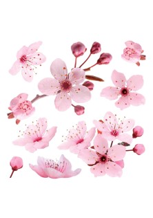Cherry Blossom αυτοκόλλητα τοίχου βινυλίου ANGO