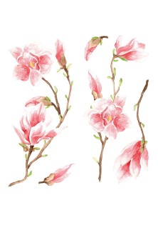 Magnolia αυτοκόλλητα τοίχου βινυλίου ANGO