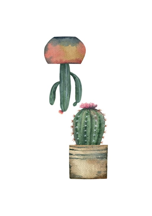 Cactus αυτοκόλλητα βινυλίου για τζάμι S ANGO