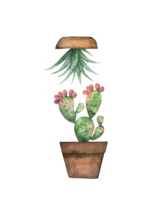 Cactus αυτοκόλλητα βινυλίου για τζάμι S ANGO