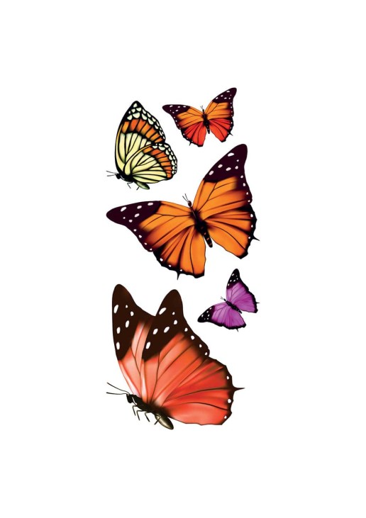 Butterflies αυτοκόλλητα βινυλίου για τζάμι S ANGO