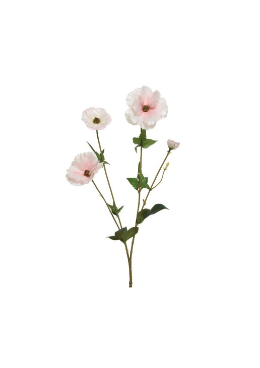 Beauty Home ΛΟΥΛΟΥΔΙ 67CM