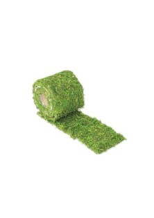 Beauty Home ΚΟΡΔΕΛΑ ΦΥΣΙΚΑ ΒΡΥΑ 10 cm x 2 m