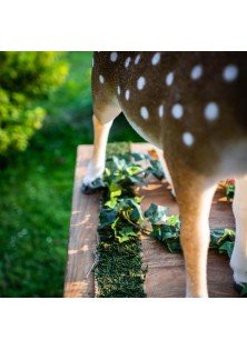 Beauty Home ΚΟΡΔΕΛΑ ΦΥΣΙΚΑ ΒΡΥΑ 10 cm x 2 m