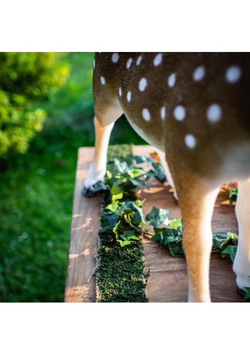 Beauty Home ΚΟΡΔΕΛΑ ΦΥΣΙΚΑ ΒΡΥΑ 10 cm x 2 m