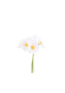 Beauty Home ΜΑΡΓΑΡΙΤΕΣ 6 ΤΜΧ 4,5 x 12 cm