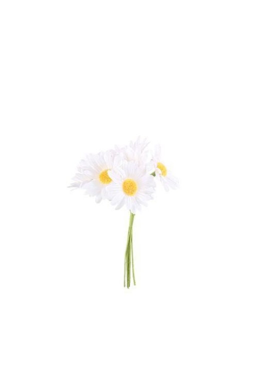 Beauty Home ΜΑΡΓΑΡΙΤΕΣ 6 ΤΜΧ 4,5 x 12 cm