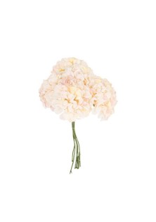 Beauty Home 6 ΟΡΤΑΝΣΙΕΣ 10cm