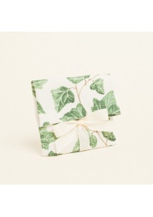 Beauty Home ΠΟΥΓΚΙ ΜΕ ΚΟΡΔΕΛΑ 12 x 17 cm ΚΙΣΣΟΣ ΜΕ ΟΨΗ ΑΚΟΥΑΡΕΛΑΣ