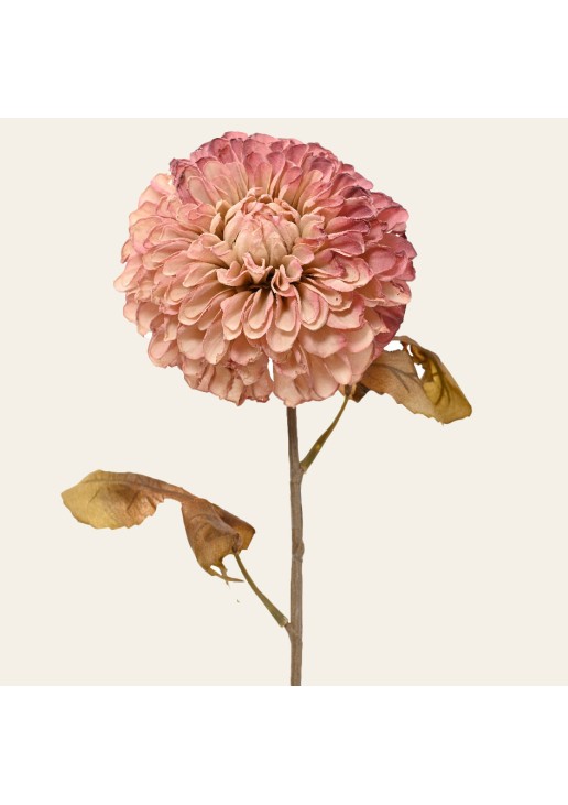 Beauty Home ΛΟΥΛΟΥΔΙ ΝΤΑΛΙΑ 76 CM