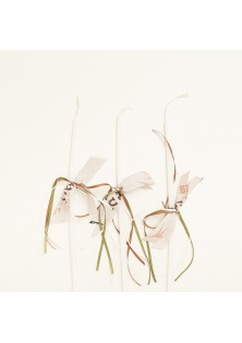 Beauty Home ΚΕΡΑΚΙΑ ΚΟΛΥΜΒΗΘΡΑΣ ΕΙΔΗ ΔΕΙΝΟΣΑΥΡΩΝ