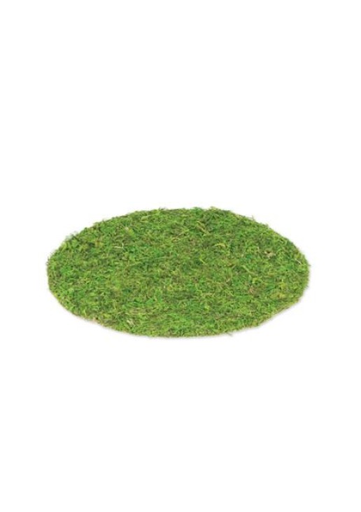 Beauty Home ΣΟΥΠΛΑ GREENERY 35 cm