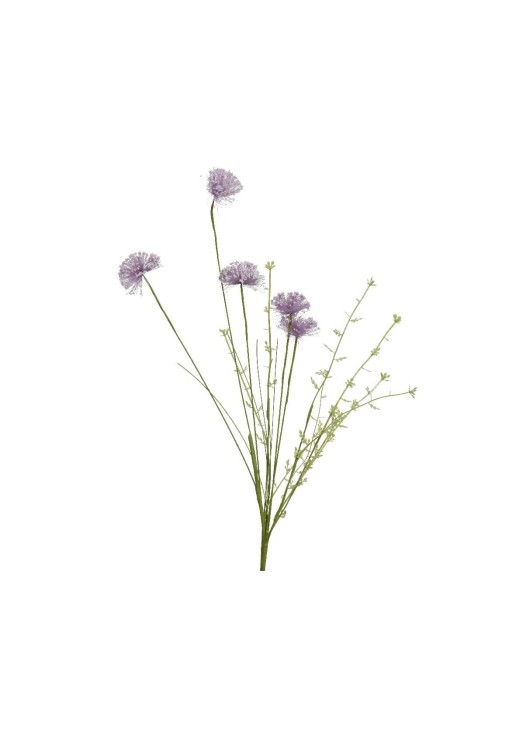 Beauty Home ΛΟΥΛΟΥΔΙ 60cm