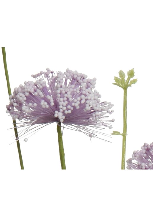 Beauty Home ΛΟΥΛΟΥΔΙ 60cm