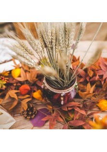 Beauty Home ΑΠΟΞΗΡΑΜΕΝΟ ΣΤΑΧΥ 70G 60CM