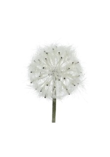 Beauty Home ΛΟΥΛΟΥΔΙ 50CM