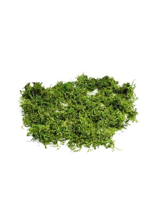 Beauty Home ΦΥΣΙΚΑ ΒΡΥΑ 50gr