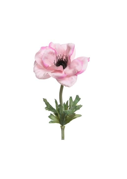 Beauty Home ΑΝΑΕΜΩΝΗ 57 CM