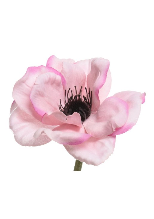 Beauty Home ΑΝΑΕΜΩΝΗ 57 CM