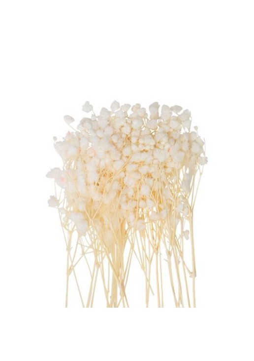 Beauty Home MINI ΓΥΨΟΦΙΛΗ 20 ΤΜΧ 5 CM