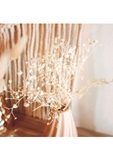 Beauty Home MINI ΓΥΨΟΦΙΛΗ 20 ΤΜΧ 5 CM