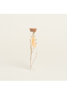 Beauty Home ΓΥΑΛΙΝΟΣ ΣΩΛΗΝΑΣ ΜΕ ΚΛΑΔΙΑ 3 x 18 cm Κίτρινο