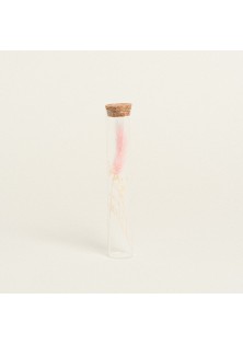 Beauty Home ΓΥΑΛΙΝΟΣ ΣΩΛΗΝΑΣ ΜΕ ΚΛΑΔΙΑ 3 x 18 cm Ροζ