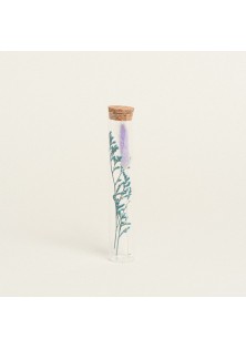 Beauty Home ΓΥΑΛΙΝΟΣ ΣΩΛΗΝΑΣ ΜΕ ΚΛΑΔΙΑ 3 x 18 cm Λιλά