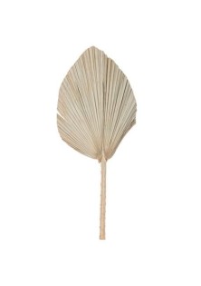 Beauty Home ΦΥΛΛΑ ΠΑΛΜΑ 60 x 30 cm