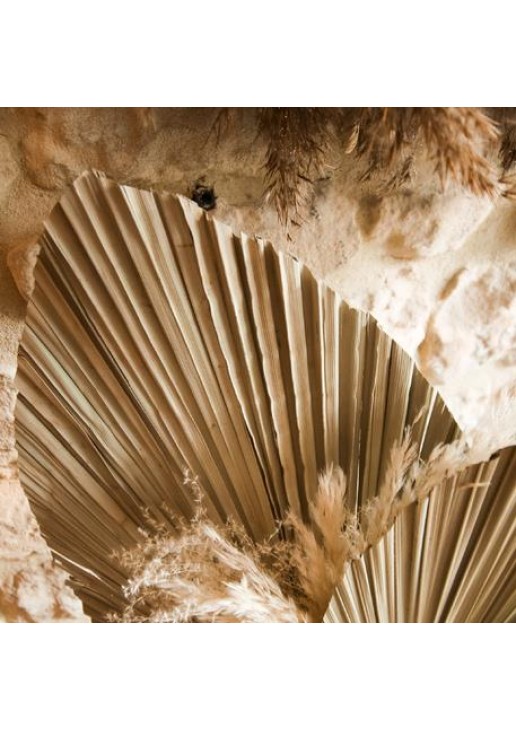 Beauty Home ΦΥΛΛΑ ΠΑΛΜΑ 60 x 30 cm