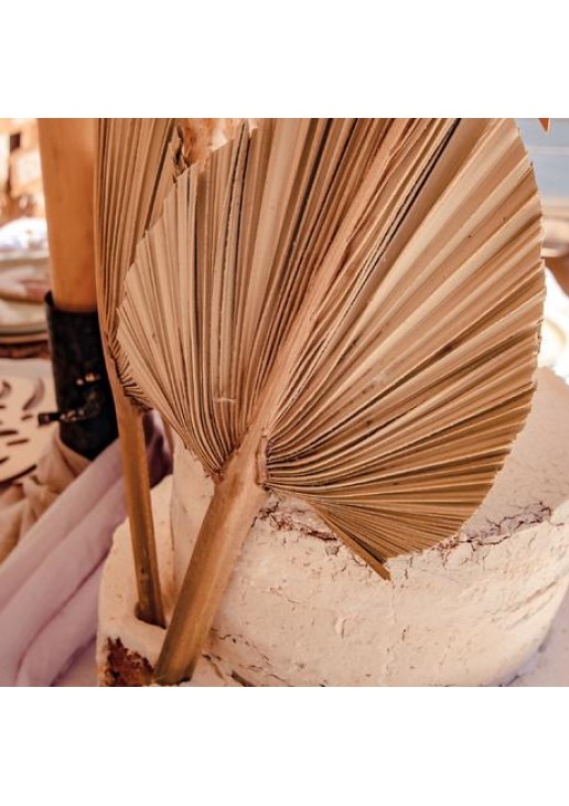 Beauty Home ΦΥΛΛΑ ΠΑΛΜΑ 60 x 30 cm