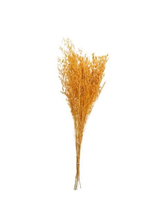 Beauty Home ΑΠΟΞΗΡΑΜΕΝΟ ΣΑΦΡΑΝ