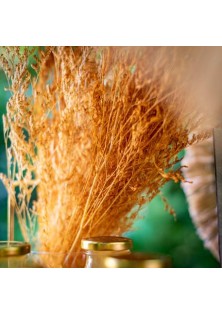 Beauty Home ΑΠΟΞΗΡΑΜΕΝΟ ΣΑΦΡΑΝ