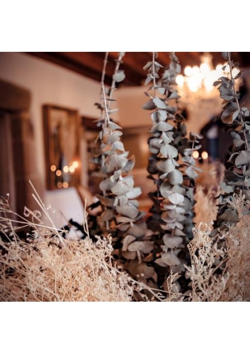 Beauty Home ΕΥΚΑΛΥΠΤΟΣ PRESERVED 70 cm