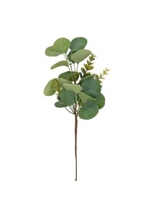 Beauty Home ΕΥΚΑΛΥΠΤΟΣ 35 CM