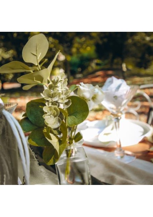 Beauty Home ΕΥΚΑΛΥΠΤΟΣ 35 CM