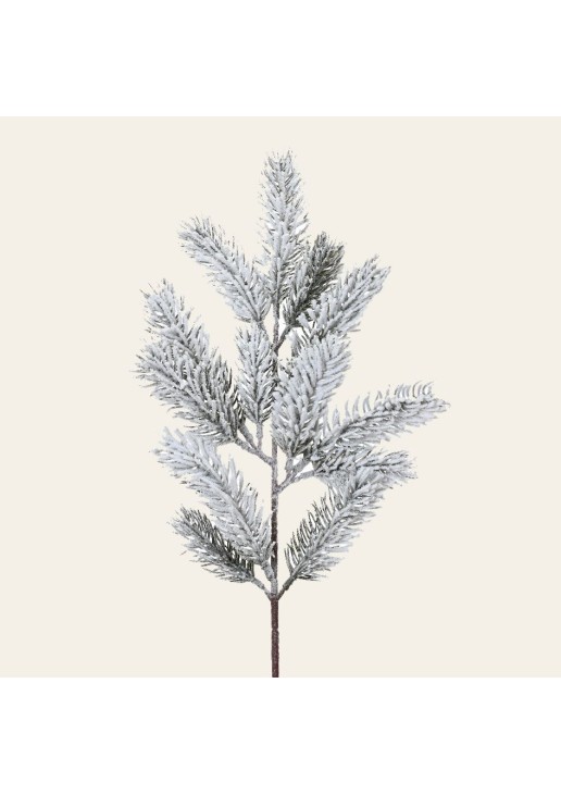 Beauty Home ΧΙΟΝΙΣΜΕΝΟ ΚΛΑΔΙ 5 x 11 x 49 cm