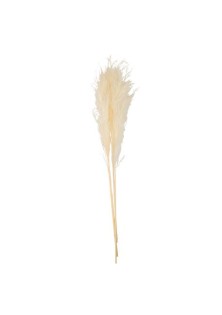 Beauty Home PAMPAS ΕΚΡΟΥ 80 CM 3 ΤΜΧ