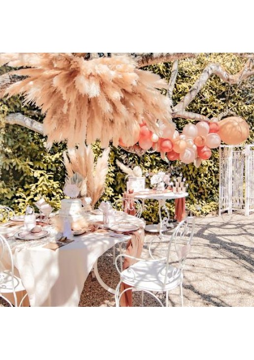 Beauty Home PAMPAS ΕΚΡΟΥ 80 CM 3 ΤΜΧ