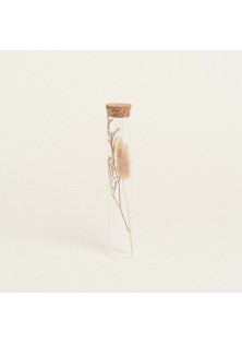 Beauty Home ΓΥΑΛΙΝΟΣ ΣΩΛΗΝΑΣ ΜΕ ΚΛΑΔΙΑ 3 x 18 cm Μπεζ