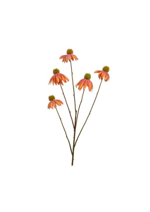 Beauty Home ΜΑΡΓΑΡΙΤΑ ΠΟΡΤΟΚΑΛΙ ΜΕ ΦΟΥΞΙΑ