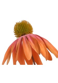 Beauty Home ΜΑΡΓΑΡΙΤΑ ΠΟΡΤΟΚΑΛΙ ΜΕ ΦΟΥΞΙΑ