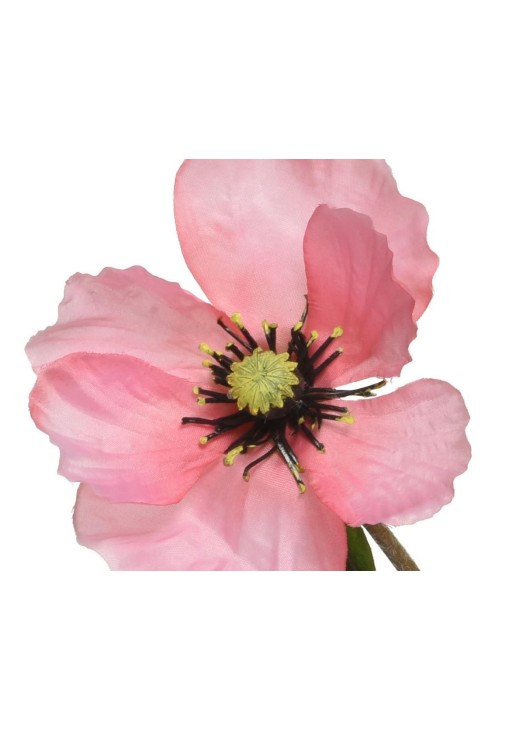 Beauty Home ΠΑΠΑΡΟΥΝΑ ΡΟΖ 71 CM