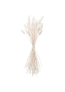 Beauty Home ΜΠΟΥΚΕΤΟ Phalaris ΦΥΣΙΚΗ 60cm – 50 ΤΜΧ