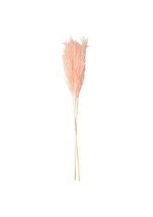 Beauty Home PAMPAS ΡΟΖ 80 CM 3 ΤΜΧ