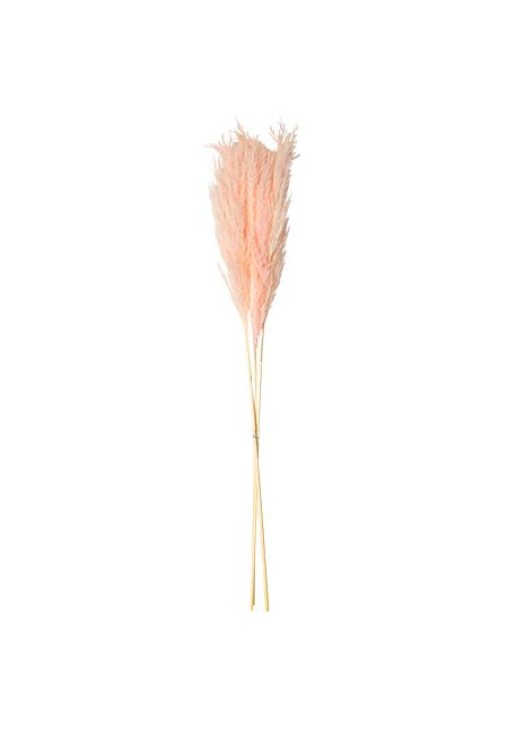 Beauty Home PAMPAS ΡΟΖ 80 CM 3 ΤΜΧ