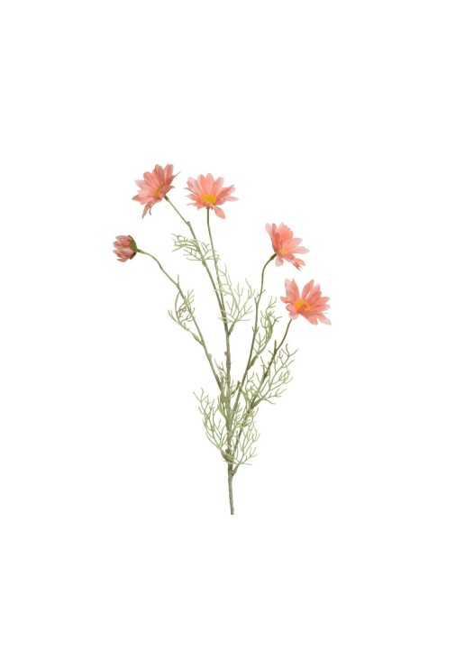 Beauty Home ΜΑΡΓΑΡΙΤΑ ΣΟΜΩΝ