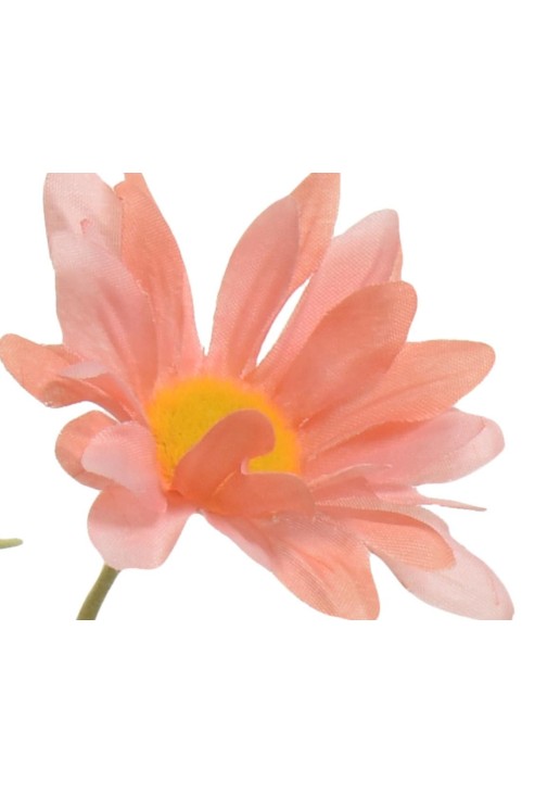 Beauty Home ΜΑΡΓΑΡΙΤΑ ΣΟΜΩΝ