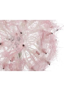 Beauty Home ΛΟΥΛΟΥΔΙ 50 CM